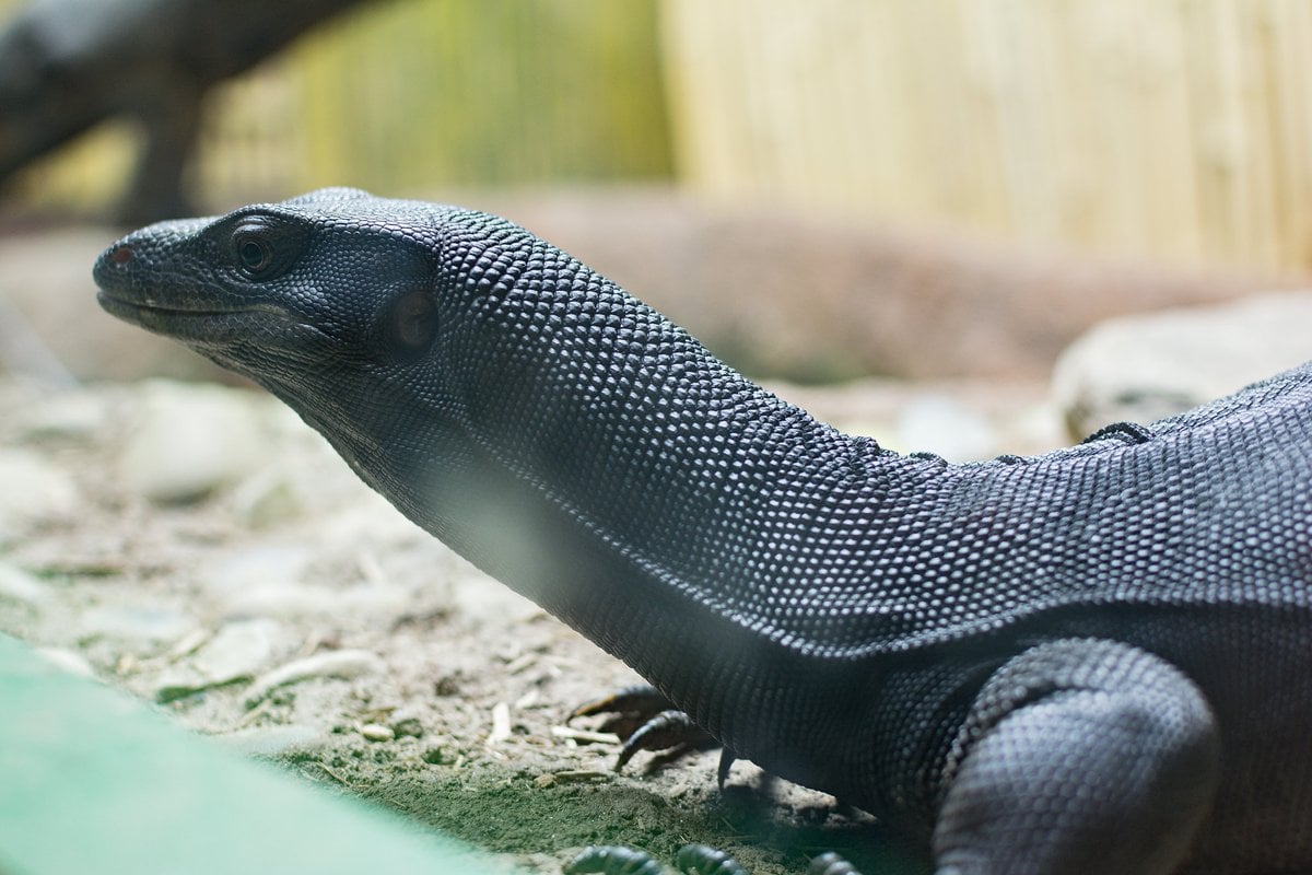 Maritime Aquarium at Norwalk - Gallery Image 2